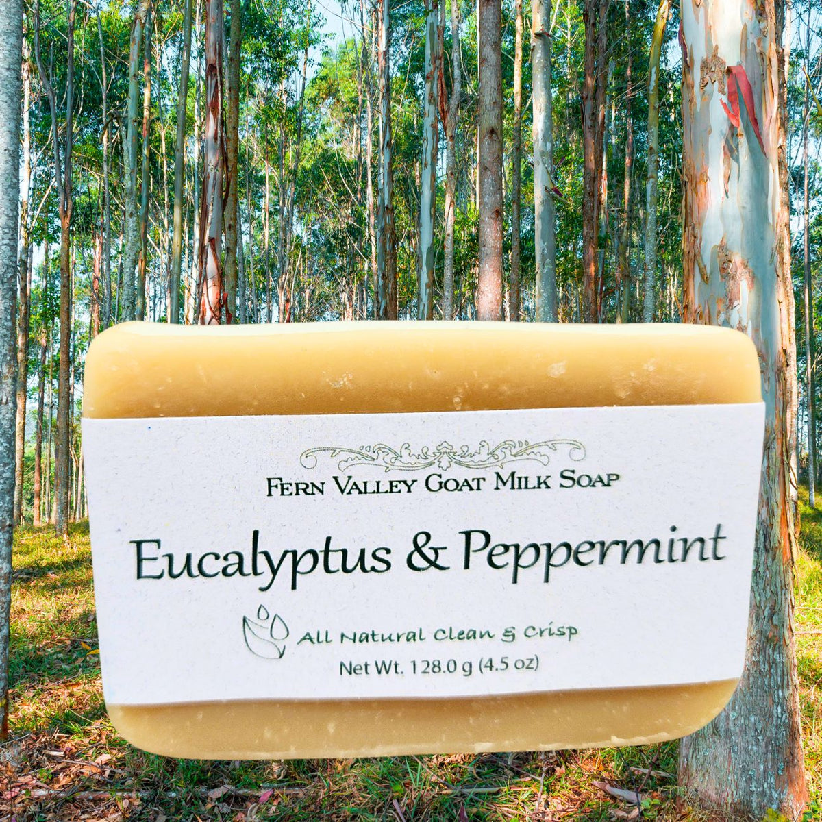 Handmade Goat Milk Soap | All Natural Eucalyptus & Peppermint Soap