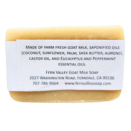 Handmade Goat Milk Soap | All Natural Eucalyptus &amp; Peppermint Soap