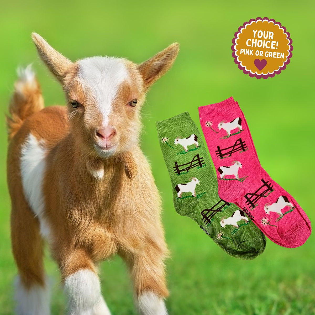 Fun Goat Socks